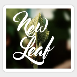 New Leaf Sticker